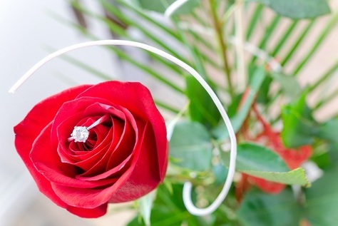 trandafir rosu cu inel